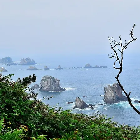 Hostel Casa De Peregrinos La Concha Ii