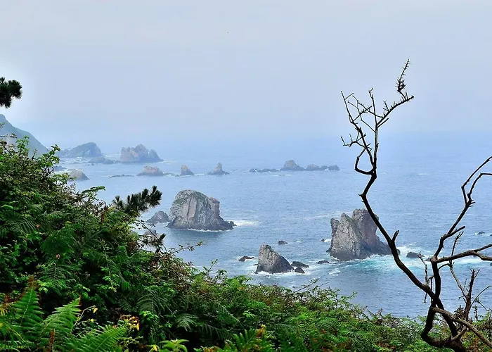 Hostal Casa De Peregrinos La Concha Ii